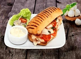 commander paninis 